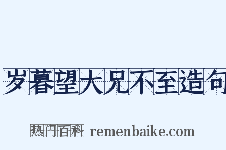 岁暮望大兄不至造句是什么意思的图片